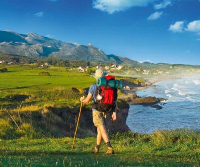 camino-a-santiago-feliz-cumpleanos