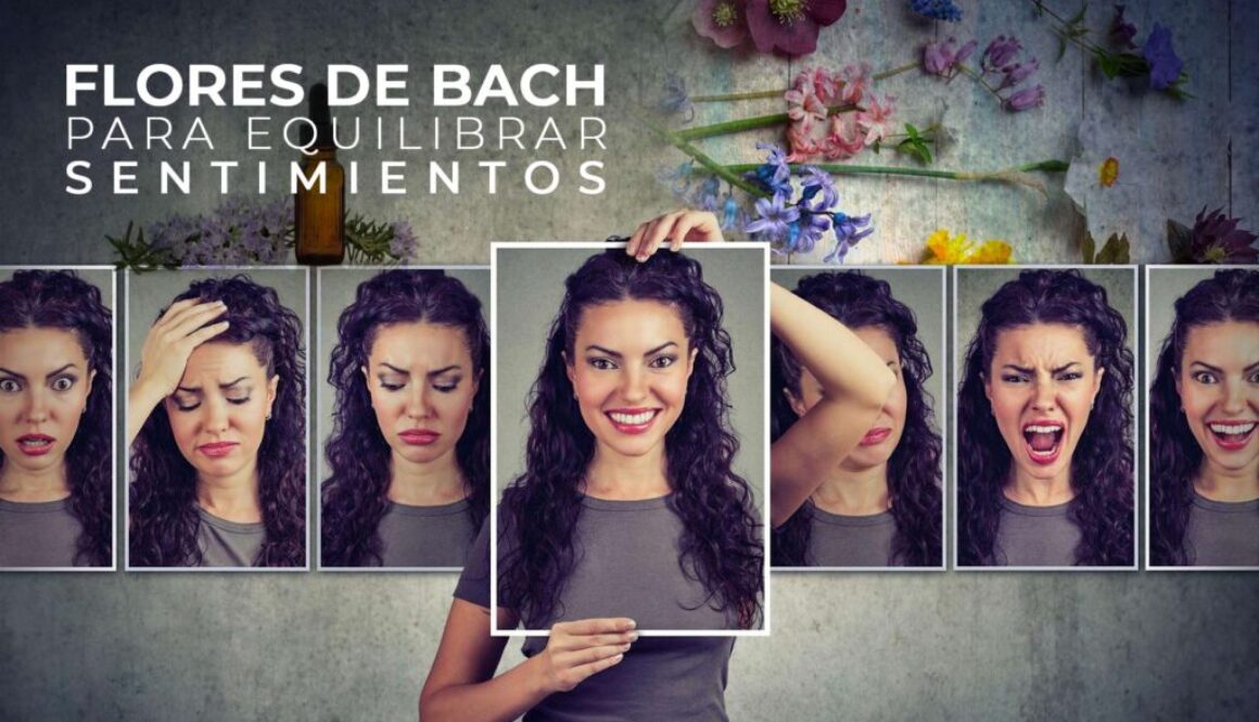 flores-de-bach-para-equilibrar-nuestros-sentimientos