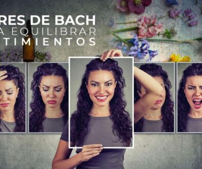 flores-de-bach-para-equilibrar-nuestros-sentimientos